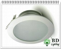 LED天花筒燈 BD-D9420  20W