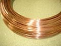 高导电性C5191高精磷铜线高强度 2