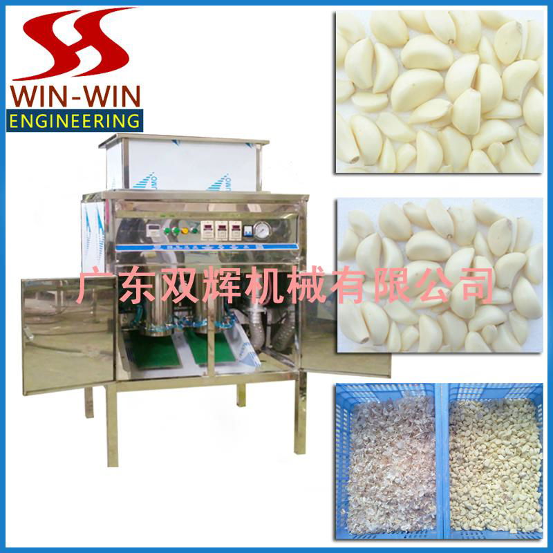 DS-300 Garlic peeling machine (double size)