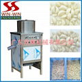 DS-100 Garlic peeling machine  (dry off)