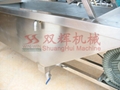 DH-22( 多功能洗菜机 干提子清洗全不锈钢型）
