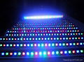 full color 30W LED wall washer lamp with DMX512 controller 3