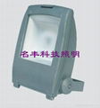 30W 50W 70W LED