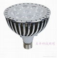 PAR38 9W  LED spotlight 1