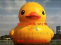 Inflatable rhubarb duck，Water rhubarb duck，Very large breath rhubarb duck 