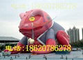 Large inflatable daikin toad, water toad, breath daikin toads 