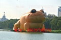 Large inflatable daikin toad, water toad, breath daikin toads 