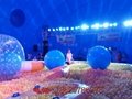 Inflatable whale, Inflatable tent whale，Millions of sea ball park 