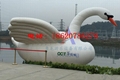 Inflatable white swan ,Super breath water white swan 