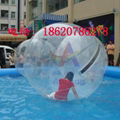 Water walking ball 