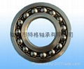 Self-Aligning Ball Bearing