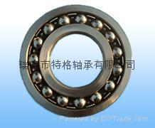 Self-Aligning Ball Bearing