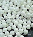 Activated Alumina Catalyst Carrier