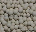 Clay Desiccant