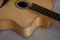 Accoustic guitar