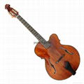 Violin style jazz guitar