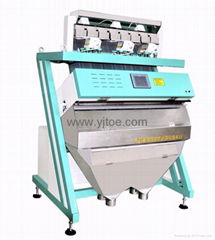 rice color sorting & rice processing