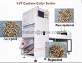 CASHEW NUT COLOR SORTER& CASHEW NUT PROCESSING MACHINE