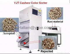 CASHEW NUT COLOR SORTER& CASHEW NUT PROCESSING MACHINE