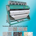 rice electronic color sorters