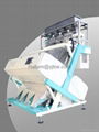 lentil/pea color sorter & sorting machine 1