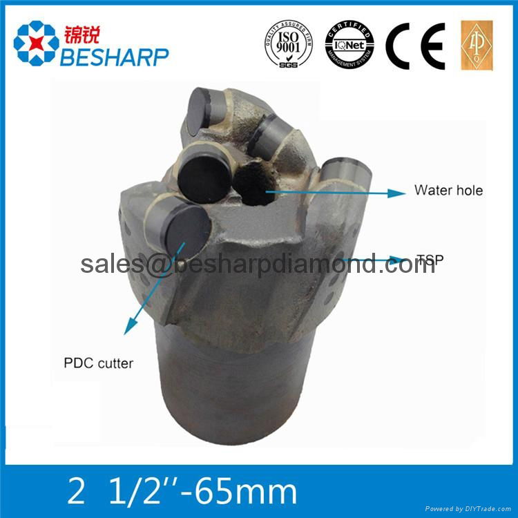 PDC flat face drill bit/PDC flat-head drill bit/PDC pillar bit/PDC button bit 2