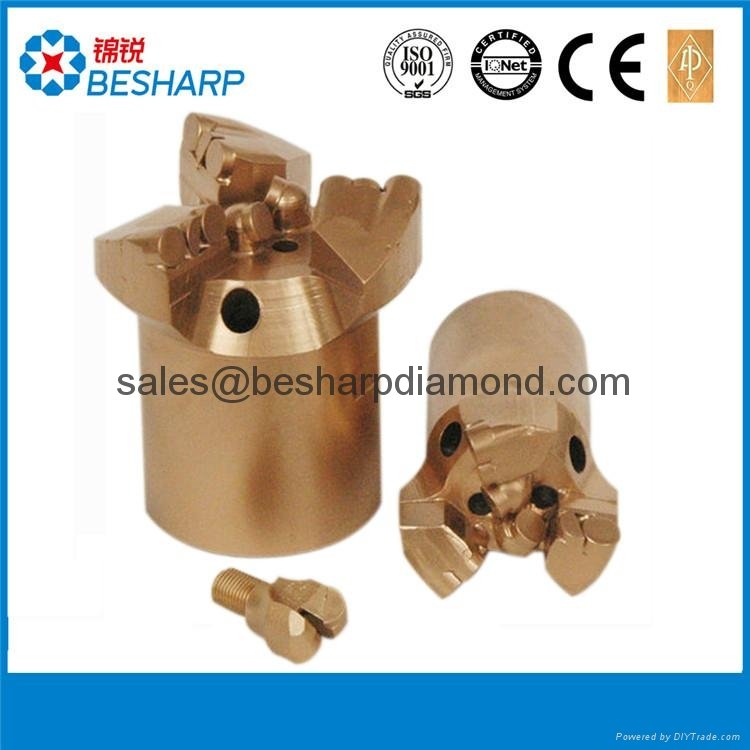 Well drilling PDC bit