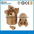Well drilling PDC bit 1