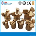 Well drilling PDC bit 3