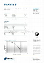 Polwhite B-英国水洗高岭土