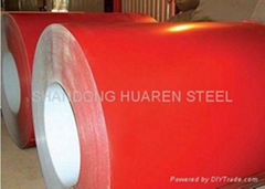 Prepainted galvanized Steel Coil (PPGL