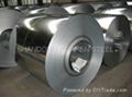 Prepainted galvanized Steel Coil (PPGL STEEL COIL)