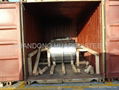 Prepainted galvanized Steel Coil (PPGL STEEL COIL) 4