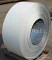 Matt Prepainted Galvanized Steel Sheet