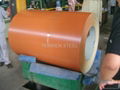 Matt Prepainted Galvanized Steel Sheet