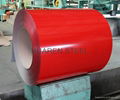 Prepainted Galvanized Steel Coils (PPGI Steel)