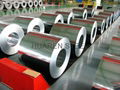 Prepainted Galvanized Steel Coils (PPGI Steel)