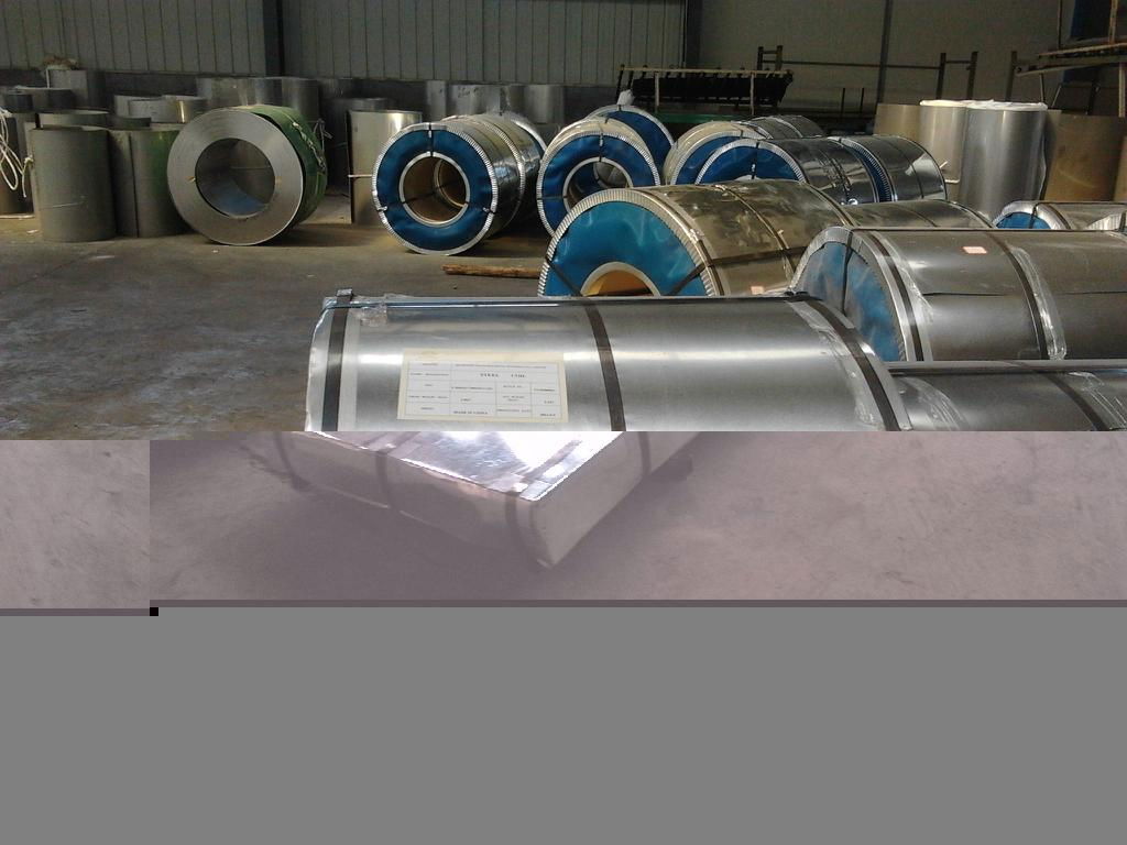 Hot dipped Galvanized Steel in Coil(GI STEEL) 3