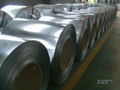 Hot dipped Galvanized Steel in Coil(GI STEEL)