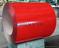 PPGI Steel coils stock