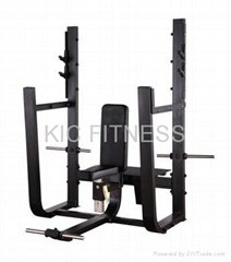 Precor Gym Machine Olympic Seated Bench (D33)