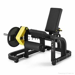 Certificated Gym Equipment Leg Extension (M14)