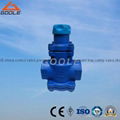 BRV71 direct acting bellows pressure reducing valve 1