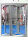 Bi Folding door