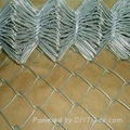 Wire Mesh Fence  4