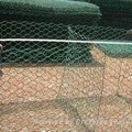 Hexagonal Wire Netting 1