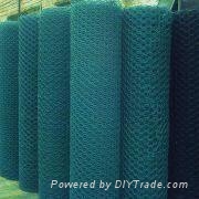 Hexagonal Wire Netting 4