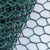 Hexagonal Wire Netting 5