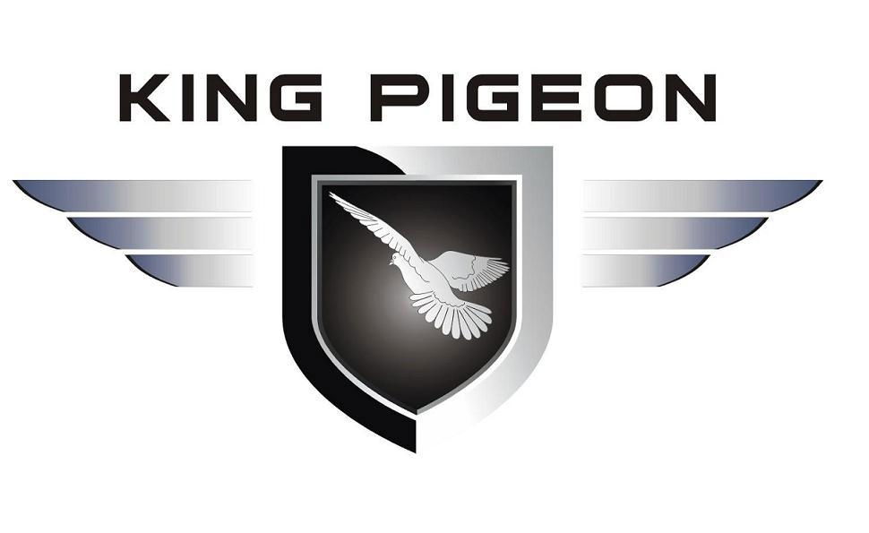 King Pigeon GSM Alarm Co.,Ltd.