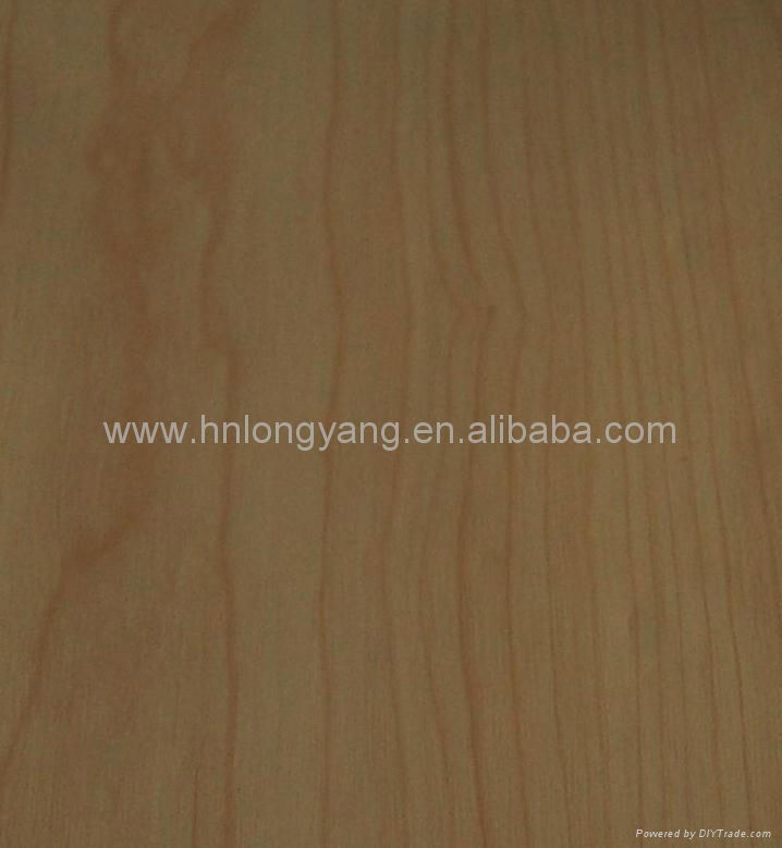 PVC decorative sheet 5